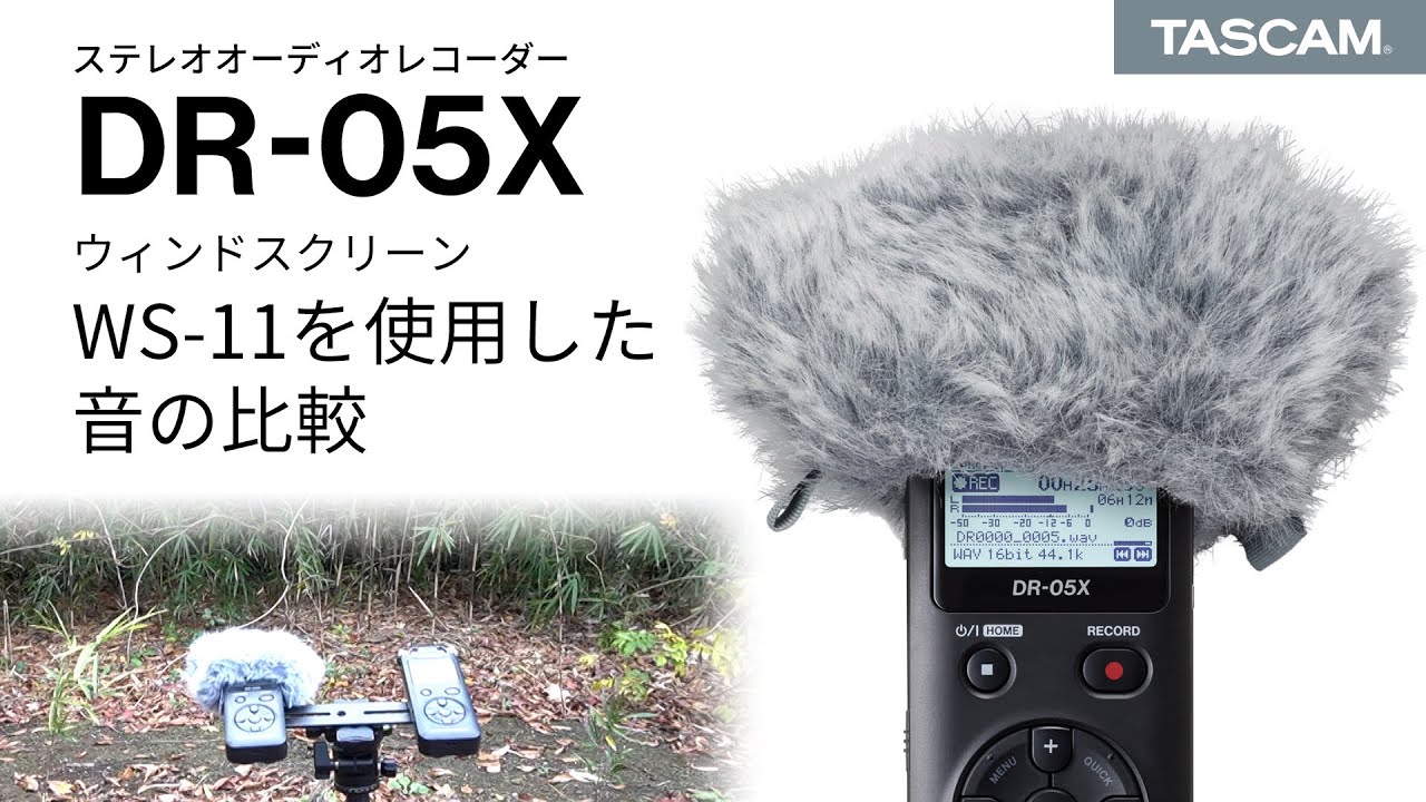 【DR-05X】ウィンドスクリーン WS-11を使用した音の比較