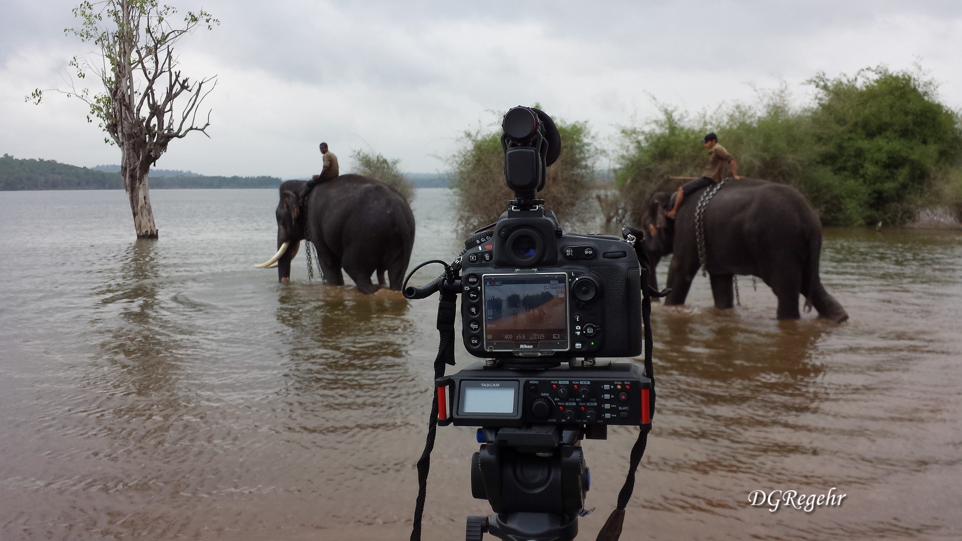 DR-70D with Elephants